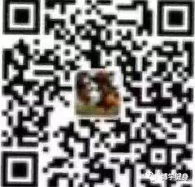 业余篮球爱好者如何提高训练中的毅力?_2